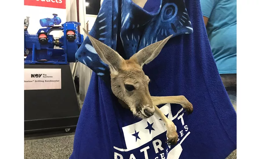 petting zoo at South Atlantic Jubilee