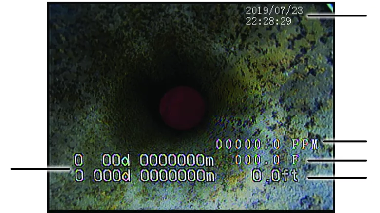 TDS Down View Camera screen Well-Vu