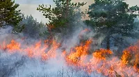 Forest fire smoke air quality.jpg Forest fire smoke air quality.jpg