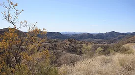 Southern border water issues