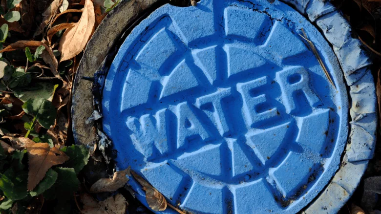 An image of a blue water cap