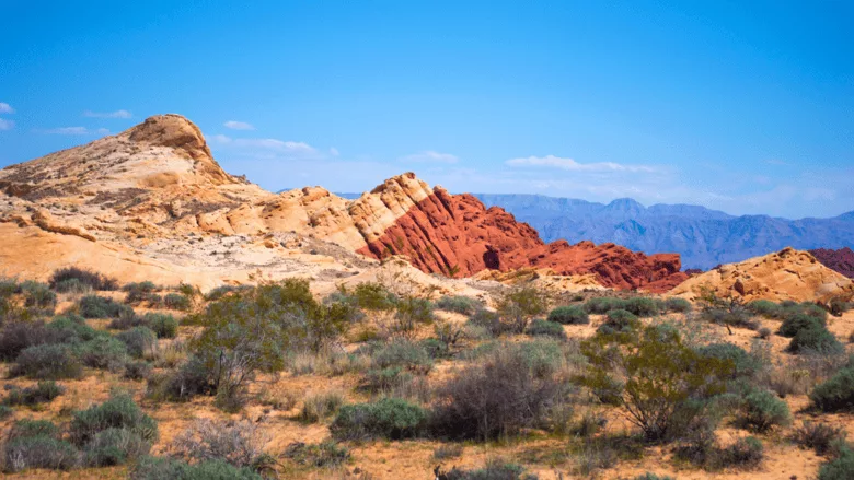 Natural landscape in Nevada