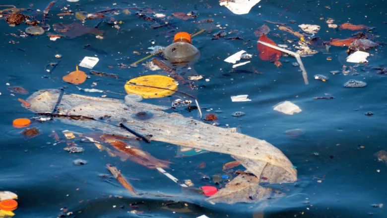 Trash floating in the ocean