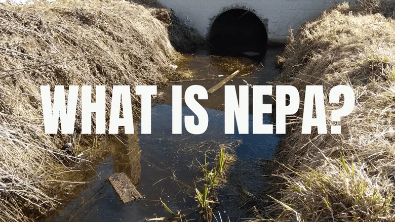 An image of wastewatet