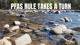 An image of smooth rocks in a body of water