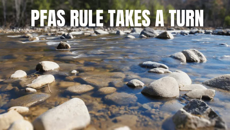 An image of smooth rocks in a body of water