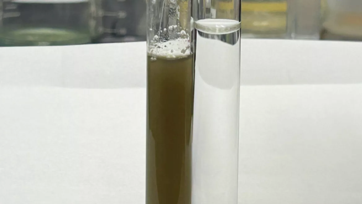 leachate before and after