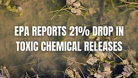 An image of stagnant water