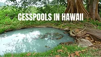 An image of a cess pools in hawaii