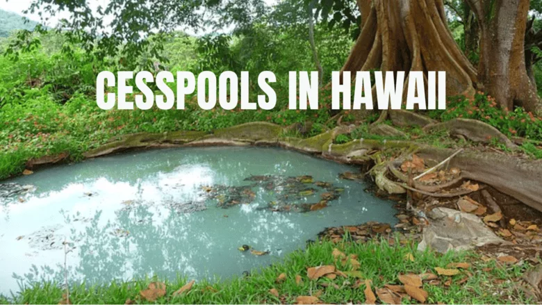 An image of a cess pools in hawaii
