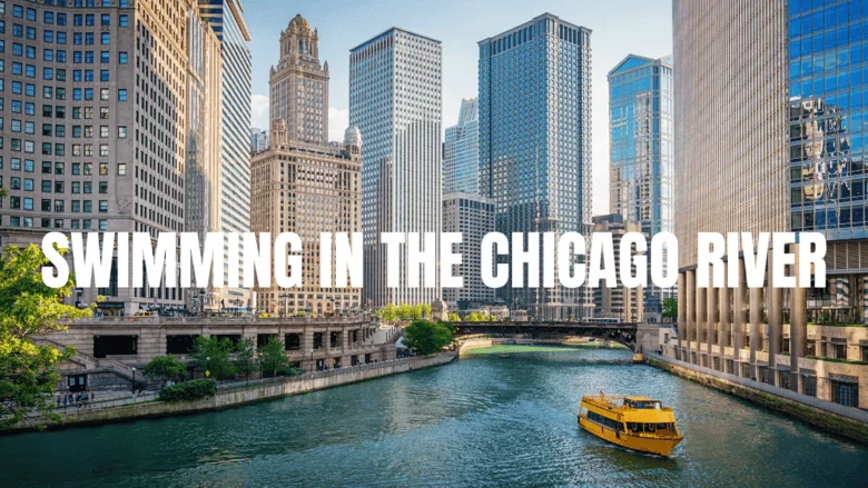 Swimming in Chicago River