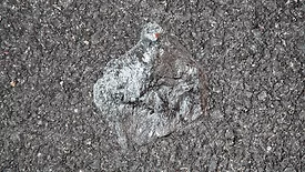 An image of antimony 