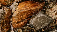 An image of wet rocks and rare materials