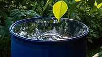 An image of a water bucket filled with rain water