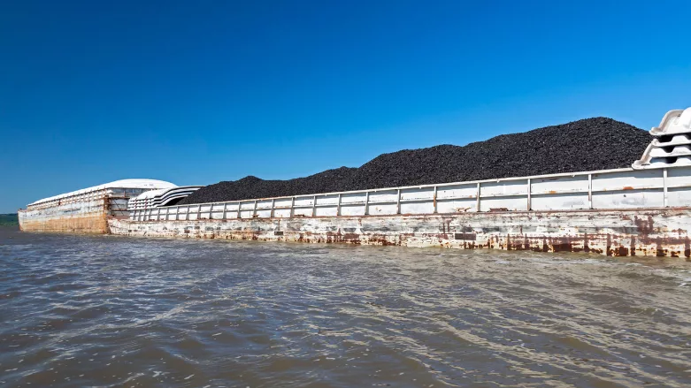 An image of pollution in a lake