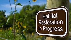 An image of a restoration sign