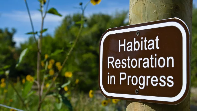 An image of a restoration sign