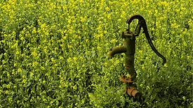 An image of a rusty well in a field