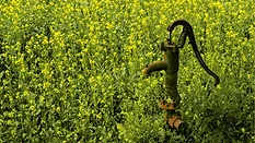 An image of a rusty well in a field