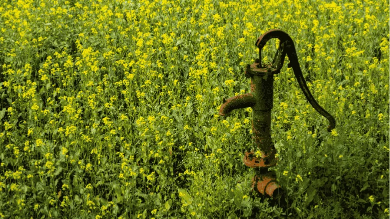 An image of a rusty well in a field