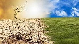 An image of grass and fading grass