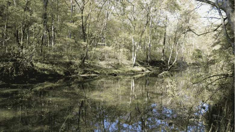 An image of the Ohio River