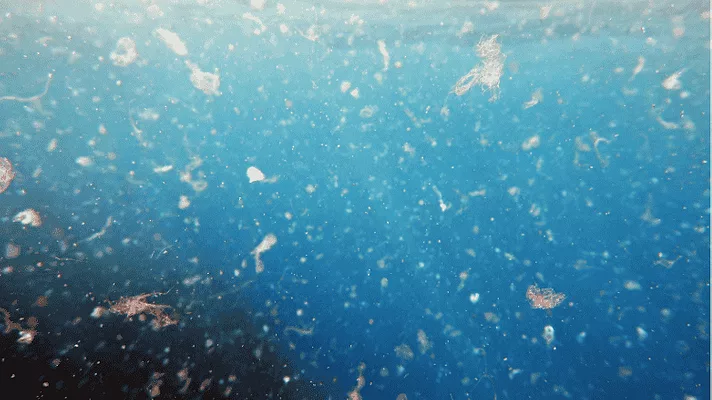 A zoomed in image of microplastics