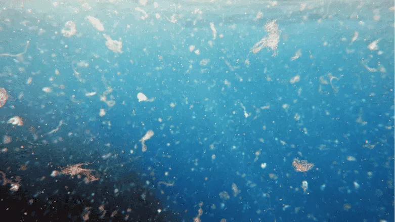 A zoomed in image of microplastics