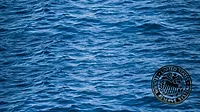 waterpolicy.png A body of water