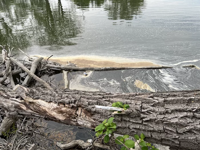 Very contaminated water source