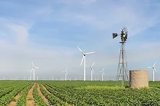 Wind turbines in Texas