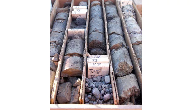 U.S. Geological Survey Sample