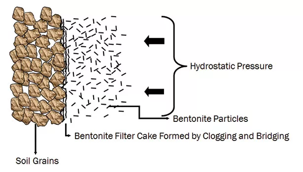 Bentonite platelets shingle
