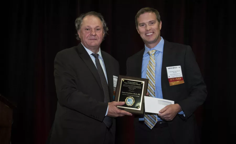 DFI 2015 Young Professor Paper