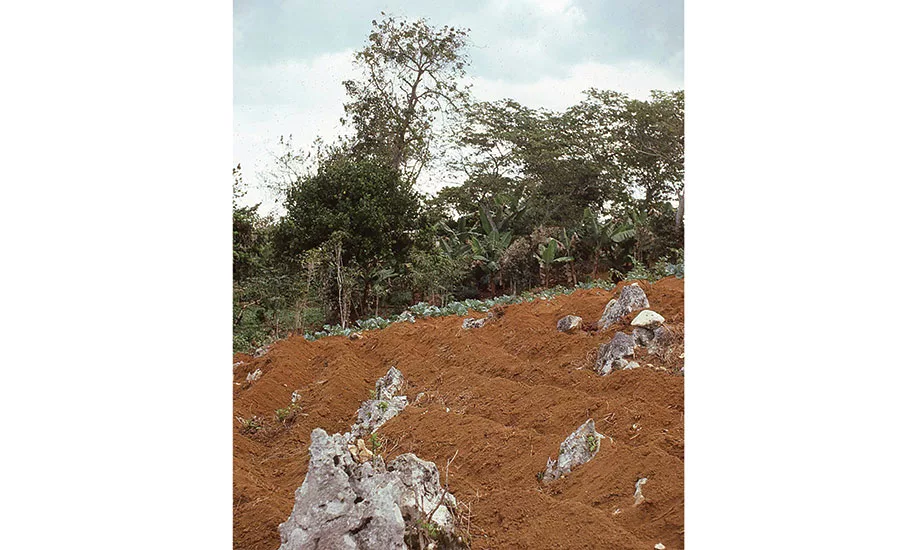 limestone