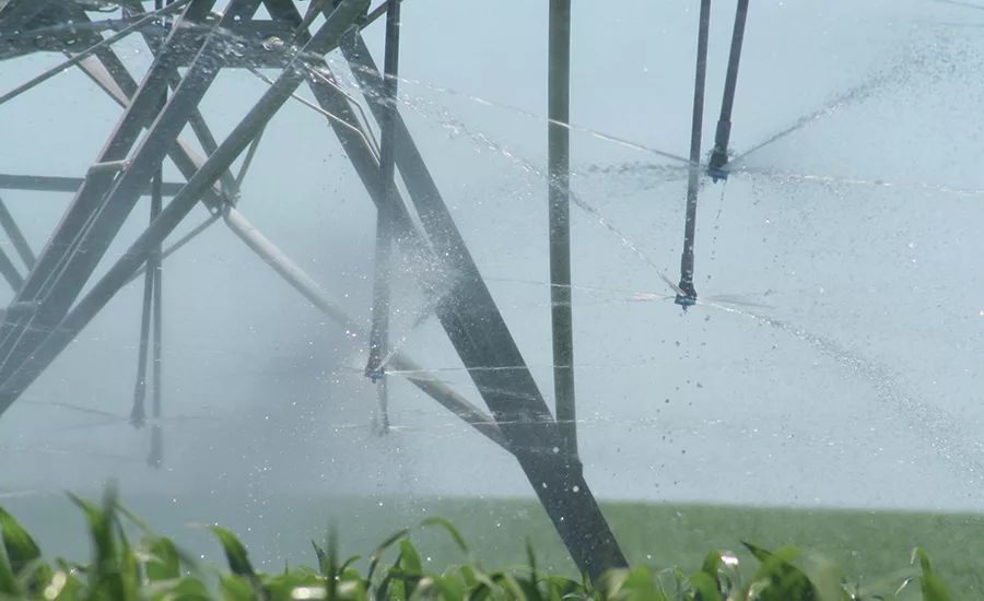 irrigation