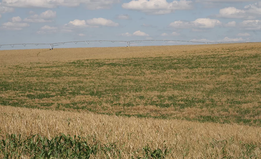 groundwater exchanges