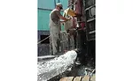water well development